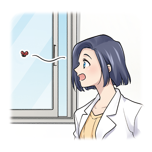 虫